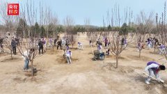 时政现场说丨厚植生态底色 共绘锦绣中国